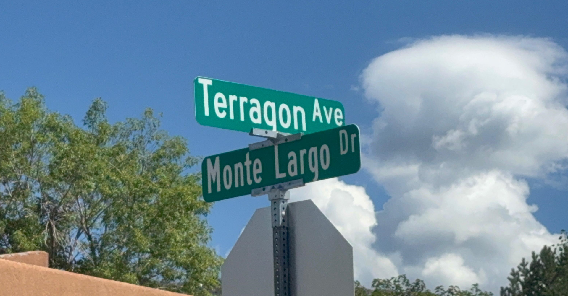 The current image has no alternative text. The file name is: Terragon-Tiroteo.png