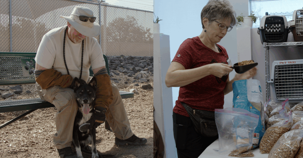 El Departamento de Bienestar Animal de Albuquerque lanza feria para encontrar voluntarios