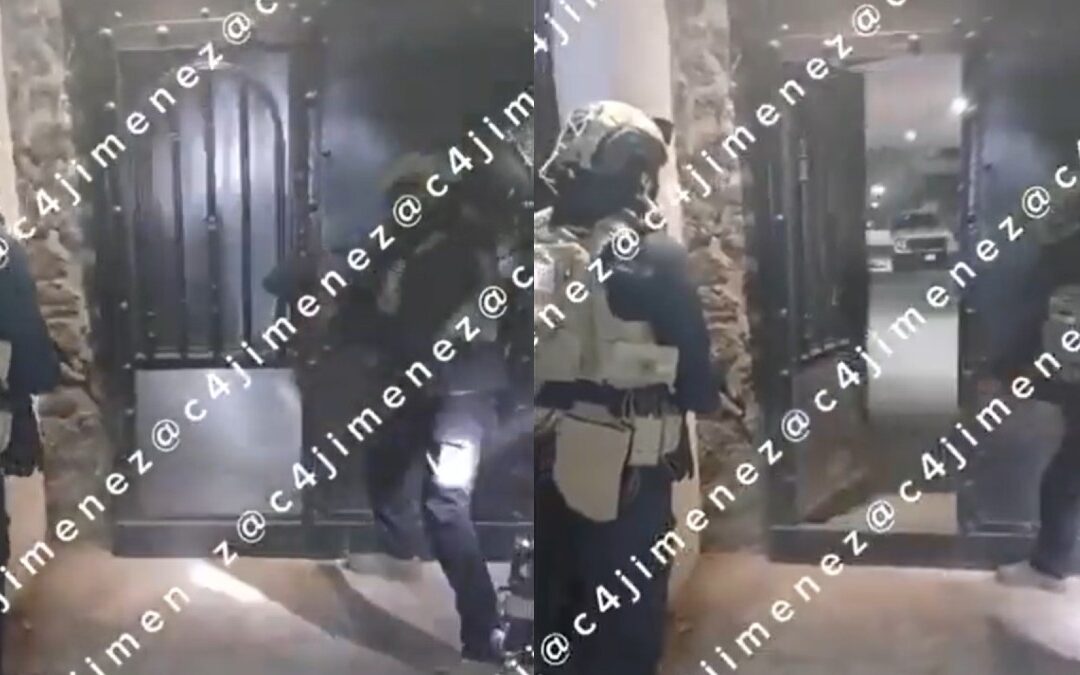 Operativo en Xochimilco: Nacen Perritos y Descubren Armamento del Cártel de Sinaloa